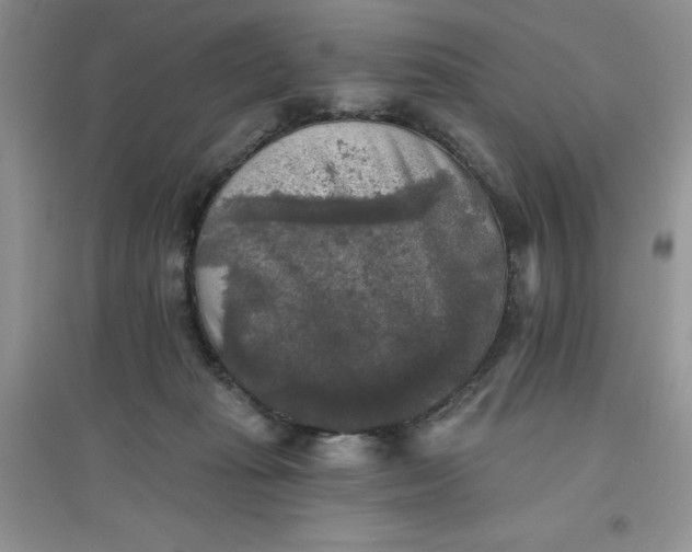 X0000097610269200803141946