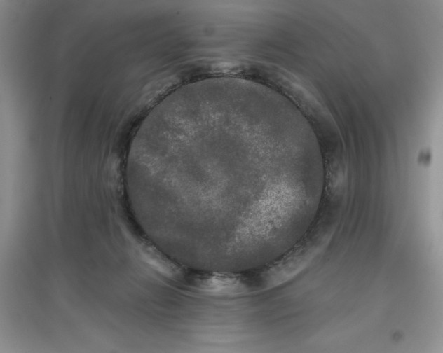 X0000097610270200803141946