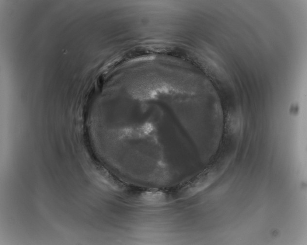 X0000097610271200803141946