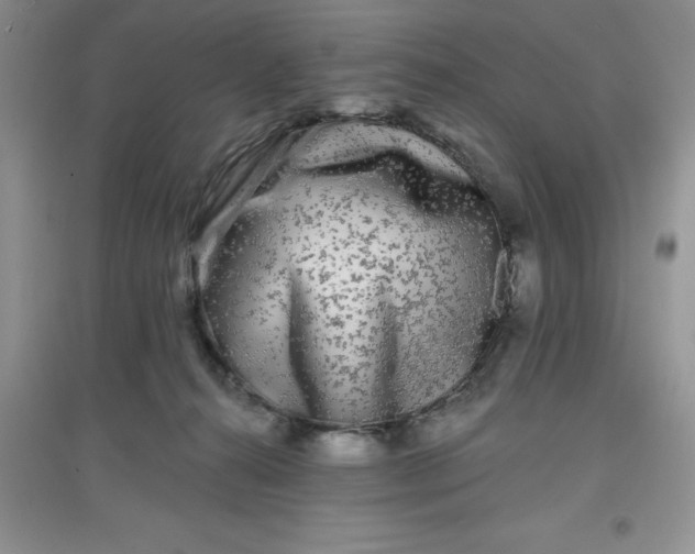 X0000097610272200803141946