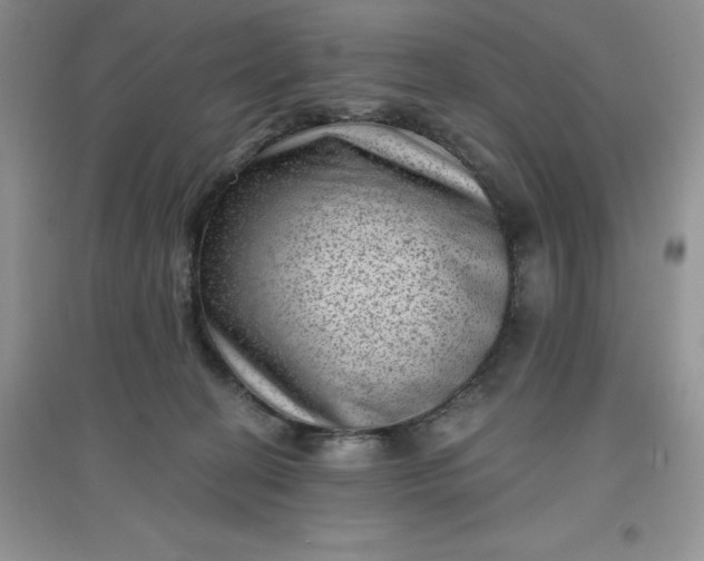 X0000097610274200803141946