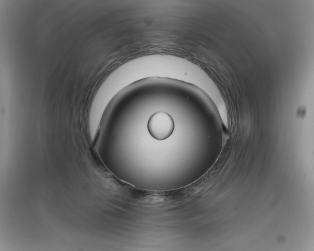 X0000097610276200803141946