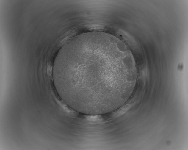 X0000097610281200803141946