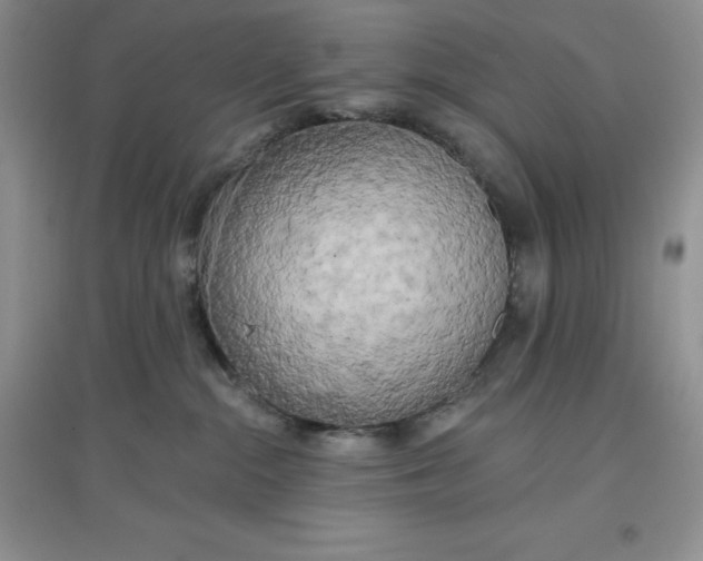 X0000097610284200803141946