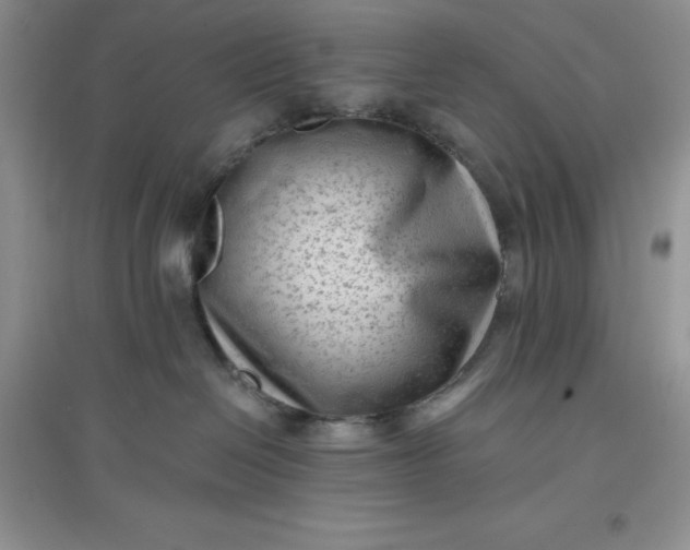 X0000097610286200803141946