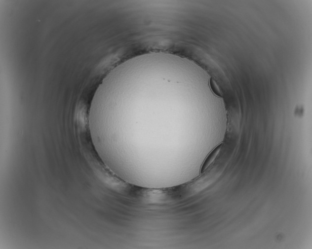 X0000097610287200803141946