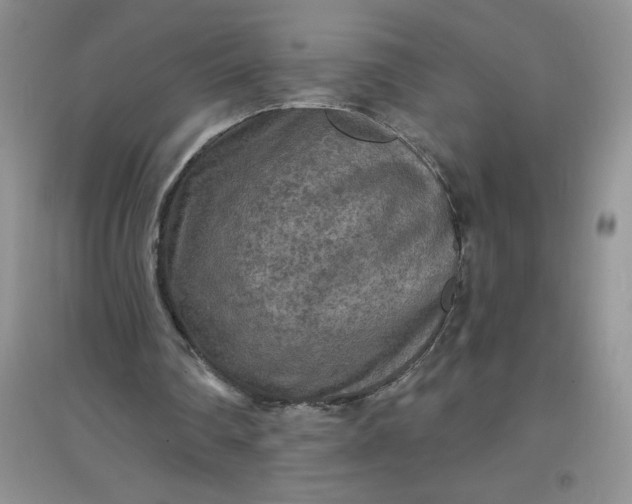 X0000097610290200803141946