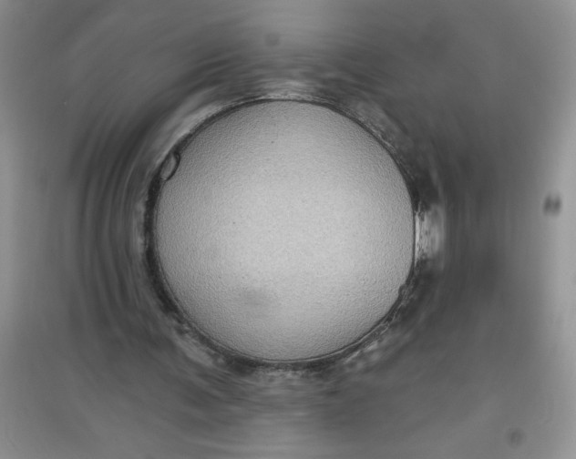 X0000097610291200803141946