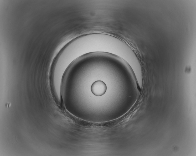 X0000097610292200803141946