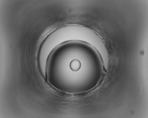 X0000097610293200803141946