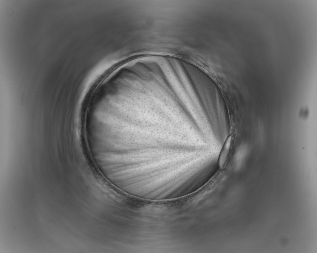 X0000097610294200803141946