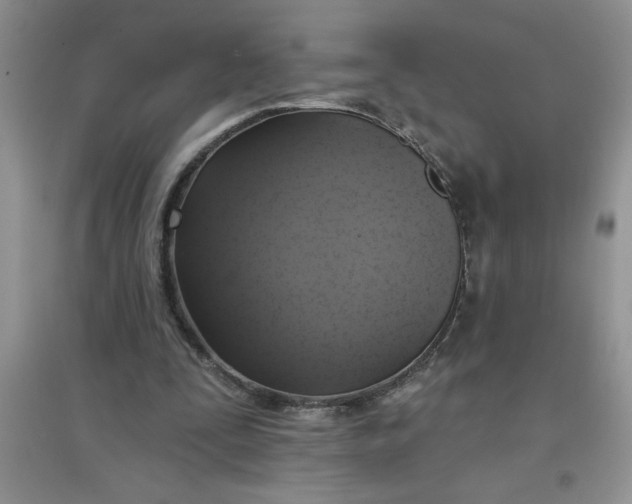 X0000097610295200803141946