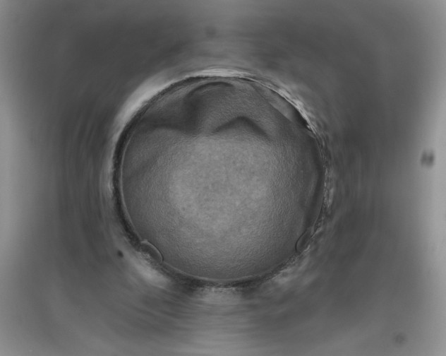 X0000097610296200803141946