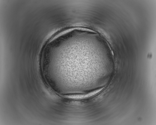 X0000097610298200803141945