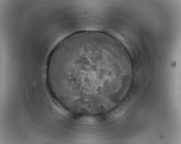 X0000097610299200803141945