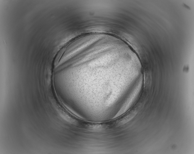 X0000097610301200803141945