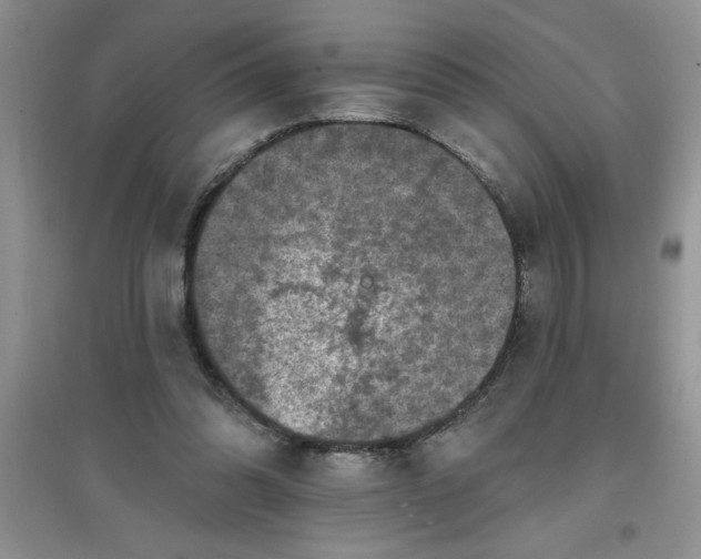 X0000097610302200803141945