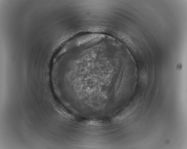 X0000097610303200803141945