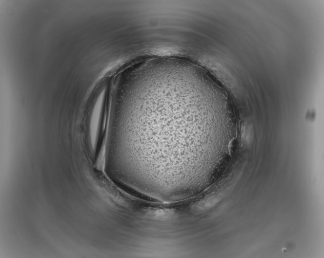 X0000097610304200803141945