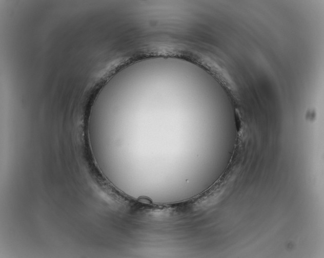 X0000097610306200803141945