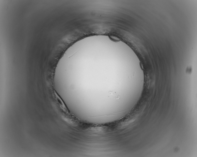 X0000097610307200803141945