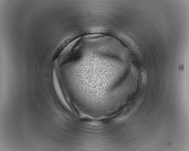 X0000097610308200803141945