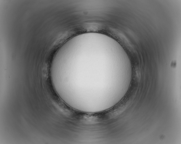 X0000097610311200803141945