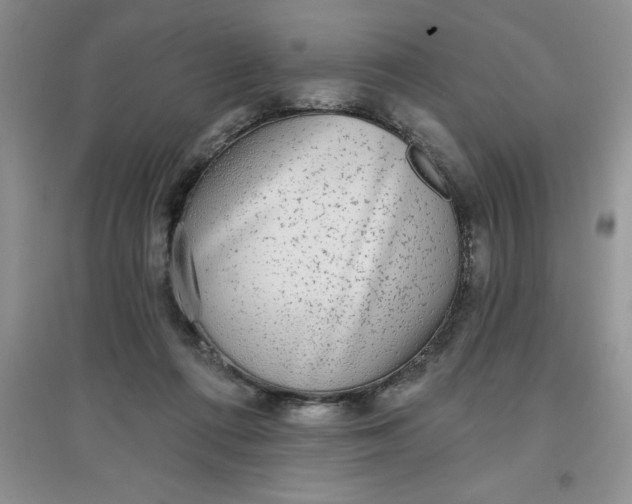 X0000097610312200803141945