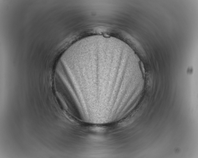 X0000097610313200803141945