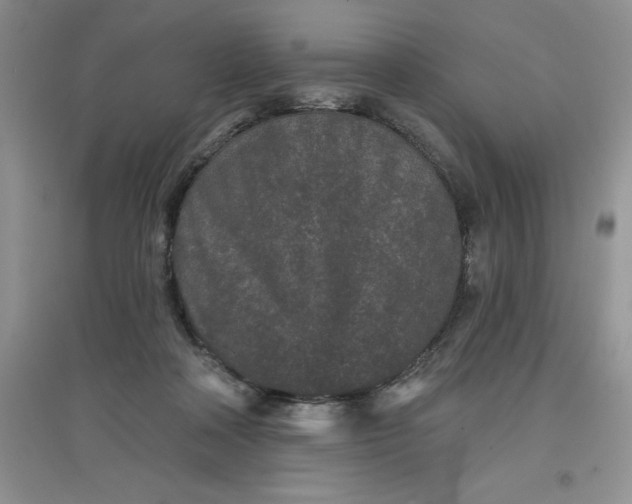 X0000097610314200803141945