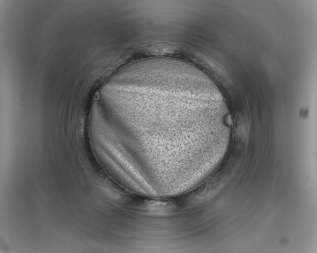 X0000097610315200803141945