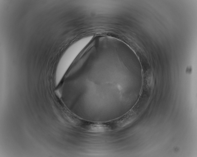 X0000097610316200803141945