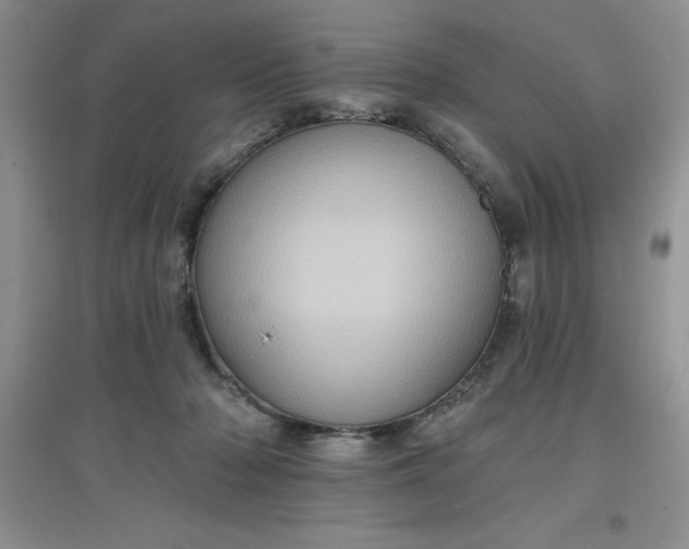 X0000097610318200803141945