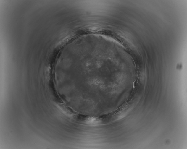 X0000097610319200803141945