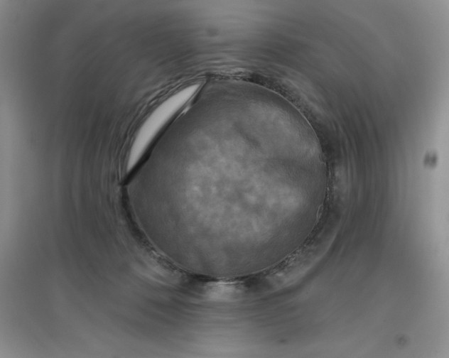 X0000097610320200803141945