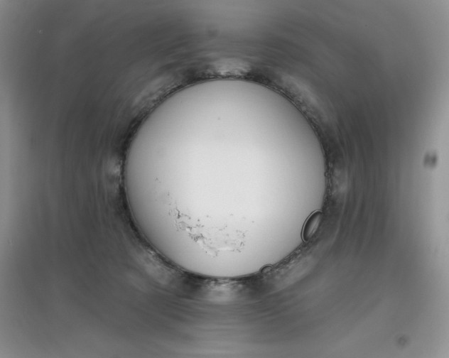 X0000097610321200803141945