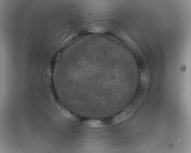 X0000097610322200803141945