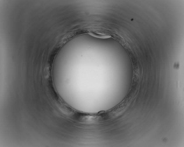 X0000097610323200803141945