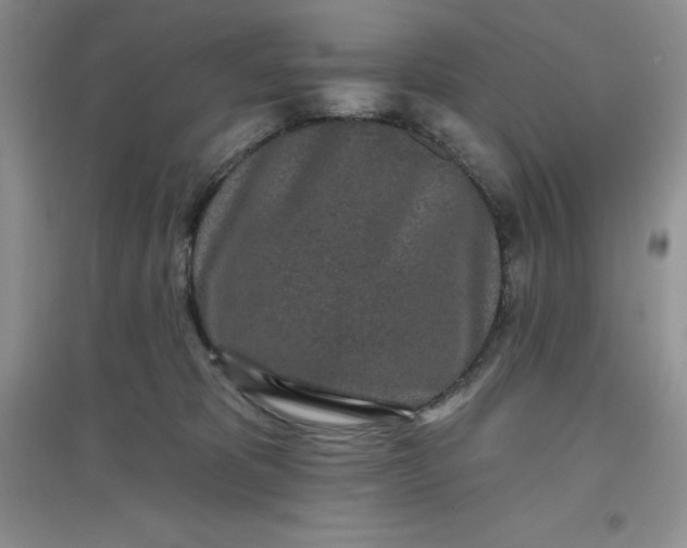 X0000097610325200803141945