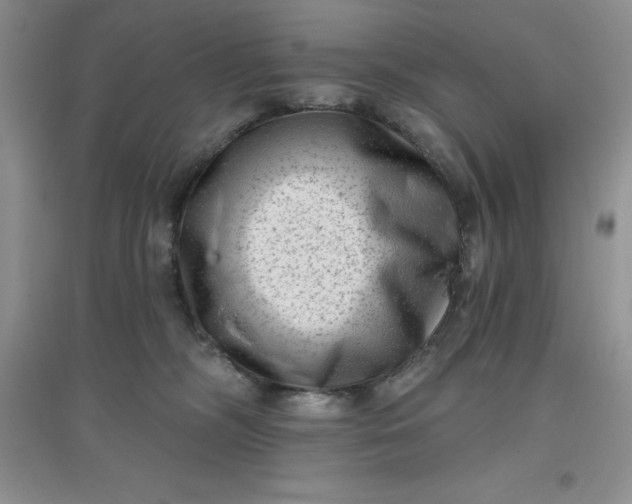 X0000097610326200803141945