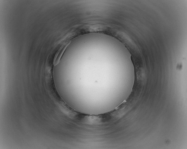 X0000097610327200803141945