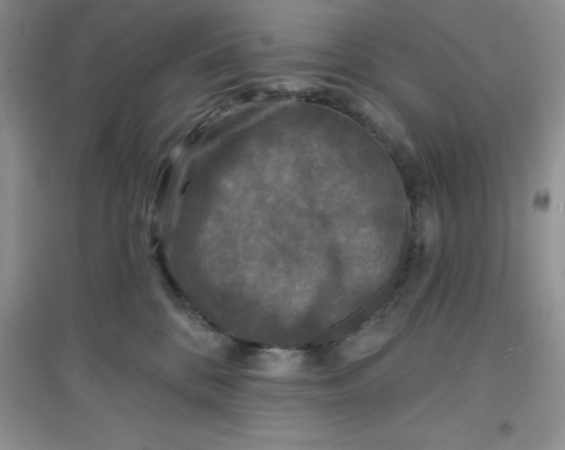 X0000097610328200803141945