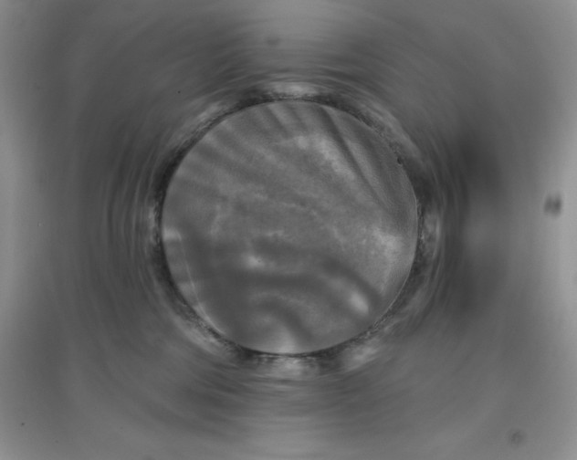 X0000097610330200803141945