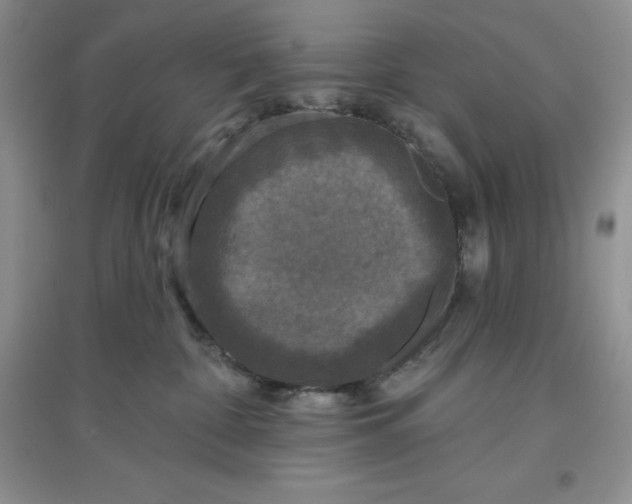 X0000097610332200803141945