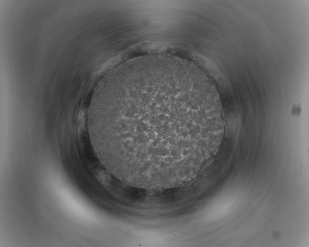 X0000097610335200803141945