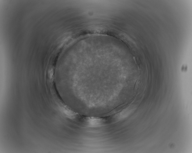 X0000097610336200803141945