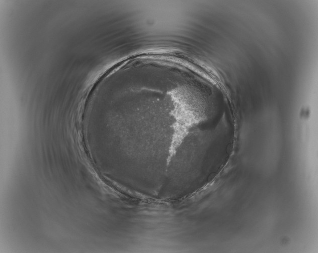 X0000097610337200803141944