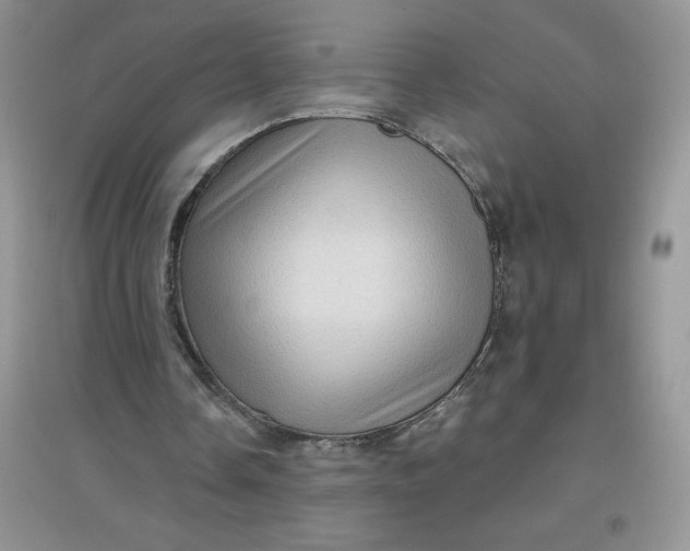 X0000097610338200803141944