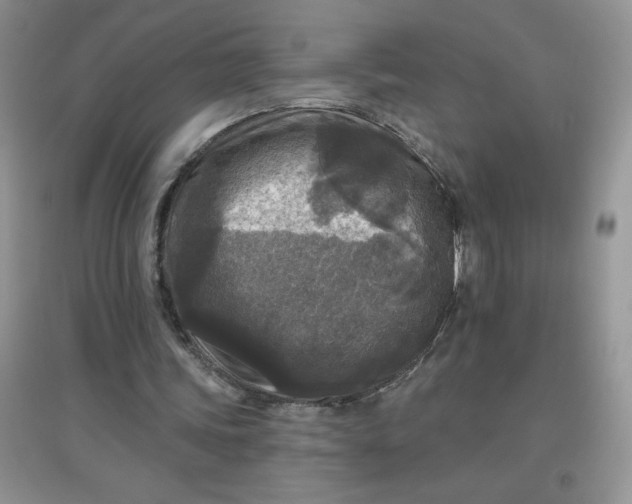 X0000097610339200803141944