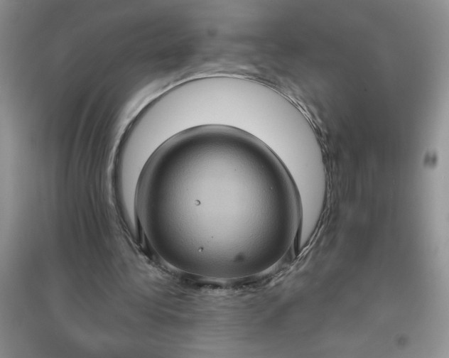 X0000097610340200803141944